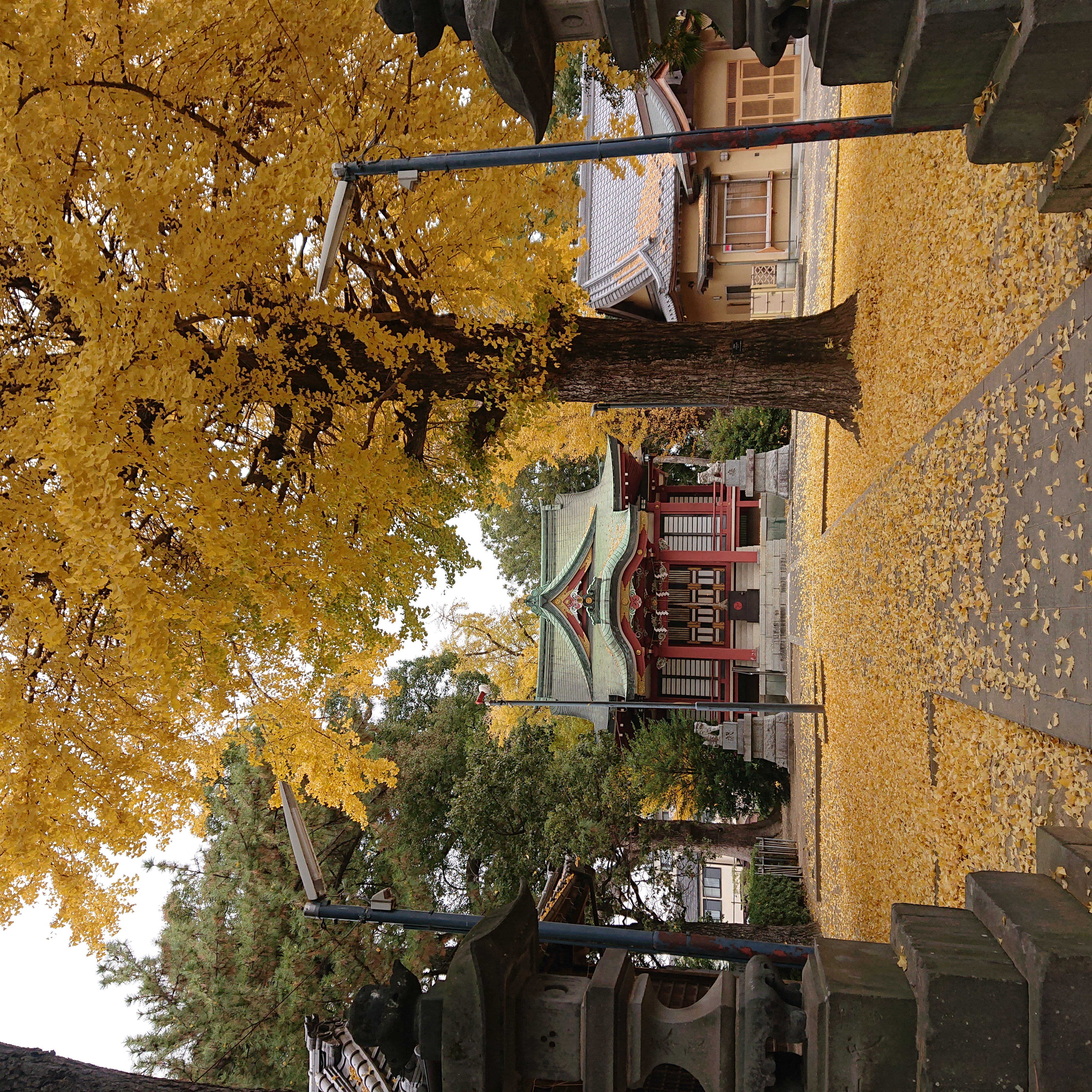 占い師細石のお気に入り写真2